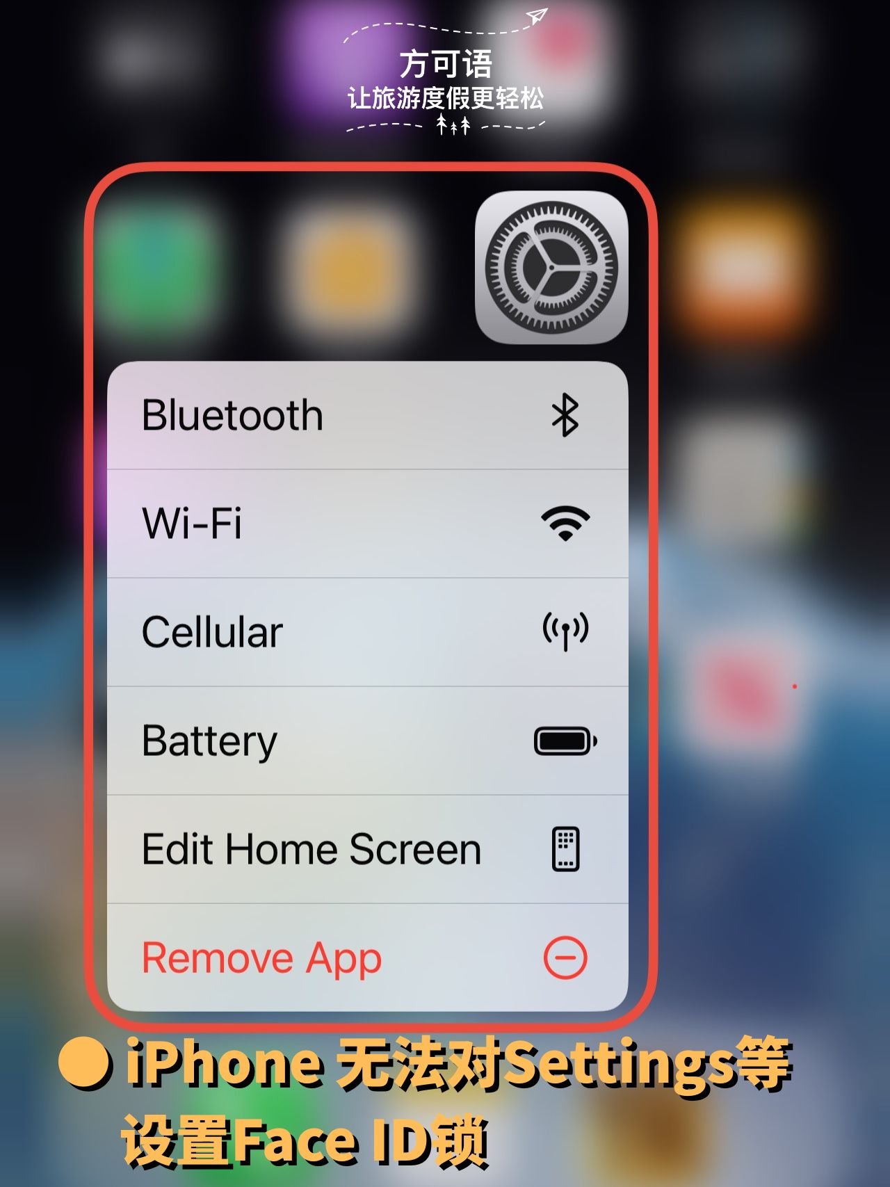 2 iphone cannot set face id lock for settings