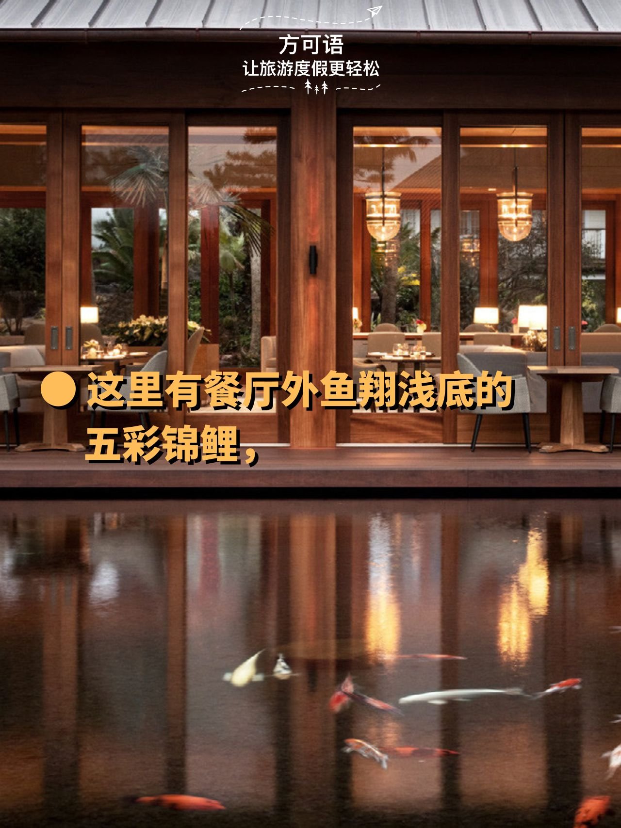 4 colorful koi fish swim in the shallows just outside the restaurant