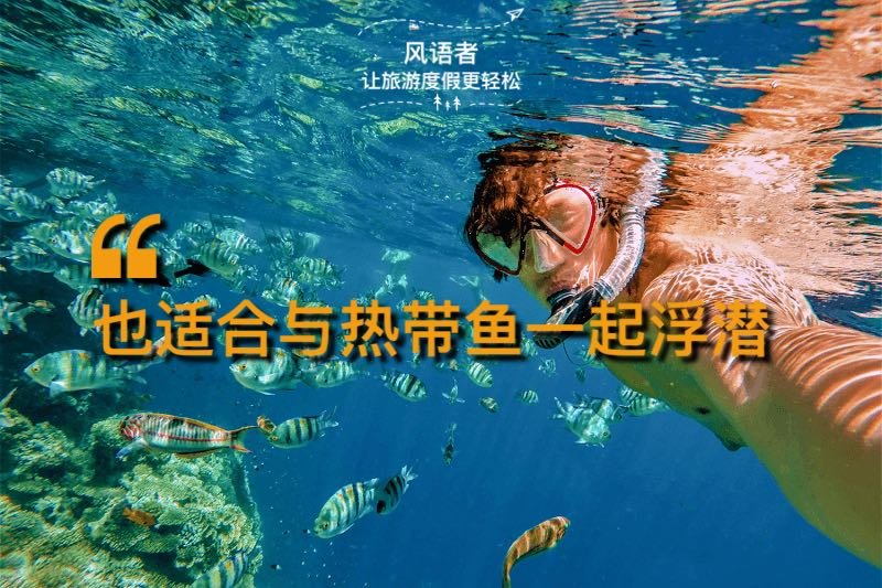 4 it is also suitable for snorkeling with tropical fish