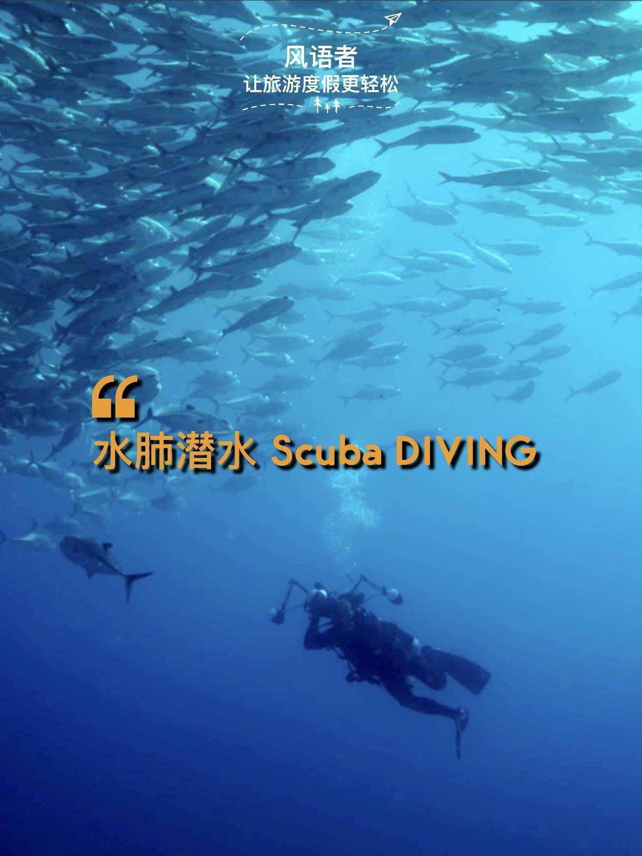 6 scuba diving